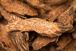 Harnessing the Power of Traditional Chinese Herbs for Topical Pain Relief
